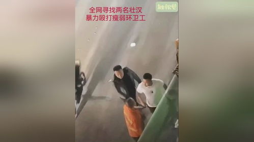 全网追凶 暴力殴打环卫工事件引发公愤，网络寻凶与法律正义并行